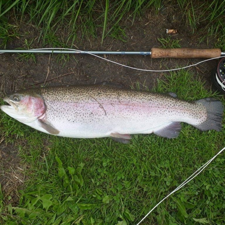 Donaldson's trout fishery