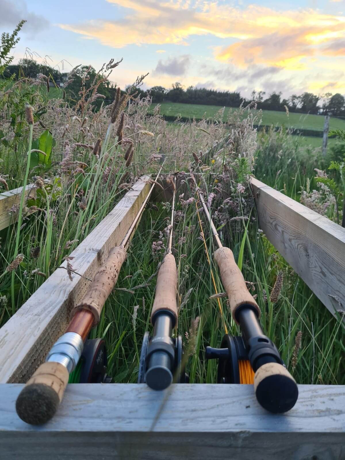 Donaldson's trout fishery