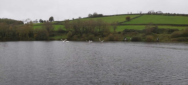 Donaldson's trout fishery